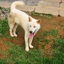 춘옥이네 이미지