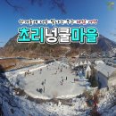 넝쿨 이미지