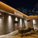 매그네이트 이미지