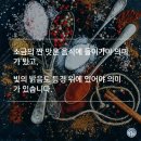소금과 빛 이미지