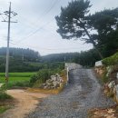 울타리ULTARI | 태안 가성비 펜션 가족 단체 수영장 있는 울타리펜션 청포대해수욕장 갯벌체험 후기