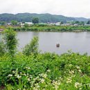 홍천숯불백 이미지