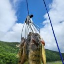 산청애 | 지리산기운 물씬 !! 산청펜션 산청애펜션 !!