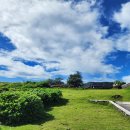 중동빌딩 이미지