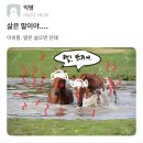 산청고등학교 | 삶은 말이야••• 이히힝