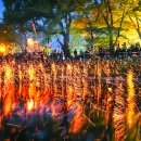 함안-가야-여항-비-1 | 2026 함안 낙화놀이 사전예약 필수! 일정·예약 방법·팁 총정리