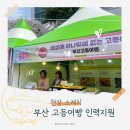 [현장스케치] 🐟 진해 군항제 고등어빵 부스 인력지원 후기