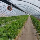 교천농장 이미지