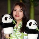 수지장갑 이미지