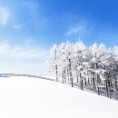 겨울에 더 아름다운 평창 가볼만한 곳 BEST5 이미지