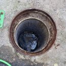 맑은세탁산업 이미지