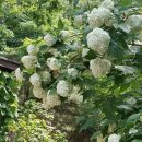 무한사랑 이미지