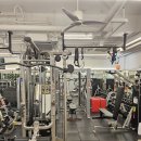 발리 휘트니스 이미지