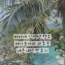다라문 | 파타야 케이프다라 리조트 내돈내산 후기 : 조식 명당 꿀팁 & 셔틀 정보까지!