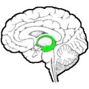 초당한의원 이미지