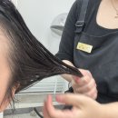 태화 미용실 | 서면미용실 염색추천 서면 레이어드컷 서면미용실 허쉬컷 디에르 모발 클리닉 추천