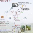 울릉도매니아