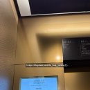 [수원 스타필드 차이797 Chai 797] KLPGA 우승 턱 제대로 쏜다! 5만원 이상 결제하고 유린기 서비스...