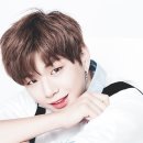 순수클린 이미지