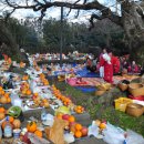 와흘본향당 이미지