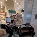 반자주 엘시티점 이미지