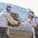 추석 끝엔 으레 축제가.. 이미지