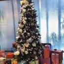 드림아이여성의원 이미지