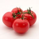 토마토 - 춘천시 서부대성로 136-1 | 토마토