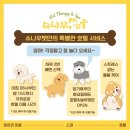 슈나우펫 이미지