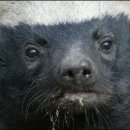 안녕하신지 이미지