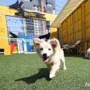 멍그라운드 이미지