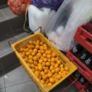 해변여행횟집 | [제주도] 해변여행횟집 - 가성비 최고인 애월맛집 내돈내산 후기 모둠회에 해산물 생선구이 까지 최고