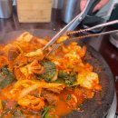 쭈꾸미도사 이미지