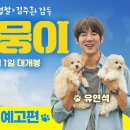 멍뭉이 이미지