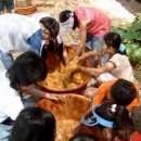 인촌농장 이미지