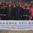 소나무(산촌마을) 이미지