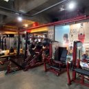 바디캠프 이미지