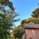멍때리41 - 10222 | 멍때리41