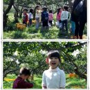 신명농장 이미지