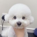 허그몽 이미지