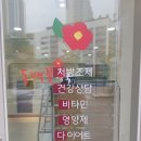 동백꽃약국 이미지