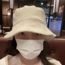베짱이 일기