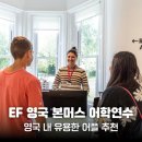 ［EF 영국 본머스 캠퍼스］ 영국 내 유용한 어플 추천