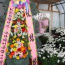 여주-0203 이미지