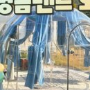 자양보오토캠핑장 네이버블로그