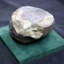 운석농장 이미지