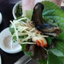 느티나무골 이미지