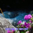 홍민-회상 반주곡 이미지