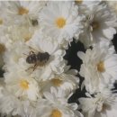 원동 경로당 이미지