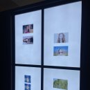 대림미술관 | [페트라 콜린스] 서울 대림미술관 무료전시 후기 ~26.02.15(일)